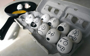 Funny Eggs HD Wallpaper 43506