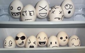 Funny Eggs Widescreen Wallpapers 43511