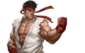 Street Fighter Background Wallpapers 44273