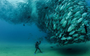 Underwater World Wallpaper 44349