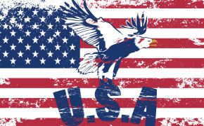 America Flag Best Wallpaper 43658