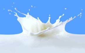 Milk Drip Background Wallpaper 43861