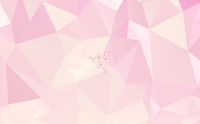 Pink HD Wallpaper 43953