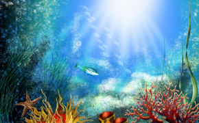 Underwater World Corals Wallpaper 44403