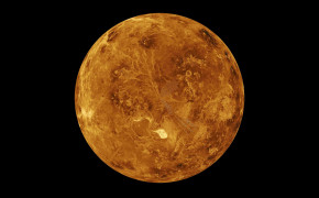 Venus Wallpaper 44409