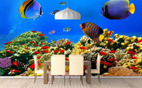 Underwater World Desktop Wallpaper 44342