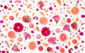Pink Flower HD Desktop Wallpaper 43969