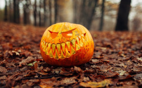 Halloween Jack O Lantern Pumpkin Wallpaper 45620