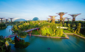 Gardens By The Bay High Definition Wallpaper 46779