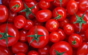 Tomato Wallpaper HD 04694