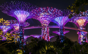 Gardens By The Bay Wallpapers Full HD 46782