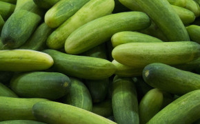 Cucumbers Background Wallpapers 46639