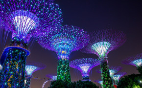 Gardens By The Bay Background Wallpapers 46769