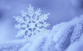 4K Snowflake Widescreen Wallpaper 47775