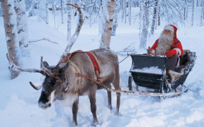 Santa Reindeer Desktop Widescreen Wallpaper 48070