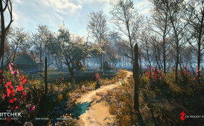 Spring Flowers The Witcher 3 Wild Hunt Wallpaper 49255