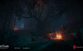 Night Time The Witcher 3 Wild Hunt Wallpaper 49251