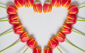 Valentine Heart Desktop Wallpaper 50136