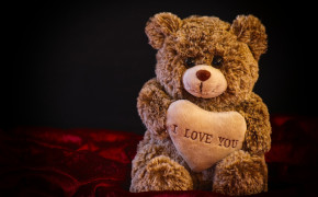 Valentine Teddy Bear Best Wallpaper 50153