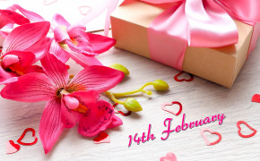 14th February Background HD Wallpapers 49743