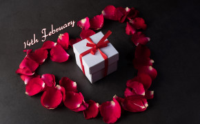 14th February HD Background Wallpaper 49750