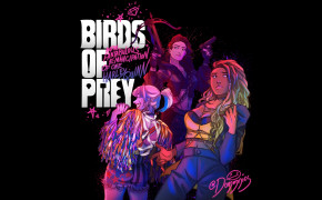 Birds of Prey Wallpaper 50233