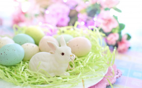 Easter Bunny Best HD Wallpaper 52501