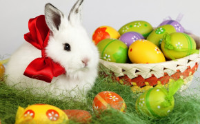 Easter Bunny High Definition Wallpaper 52507