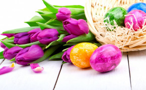 Easter Tulip Wallpaper 52661