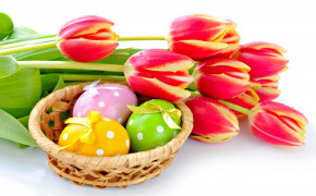 Easter Tulip Background Wallpapers 52650