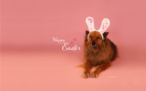 Pink Easter HD Wallpaper 52717