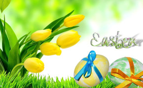 Easter Tulip HD Background Wallpaper 52655