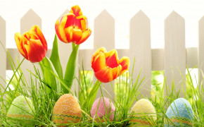 Easter Nature HQ Background Wallpaper 52623