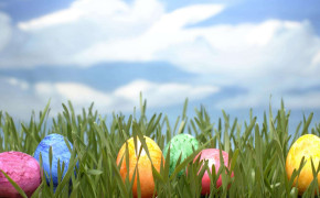 Easter Grass HD Wallpapers 52580