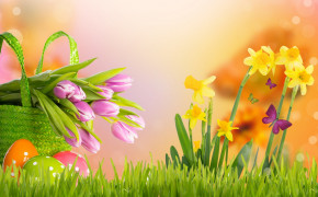 Easter Tulip HD Wallpaper 52657