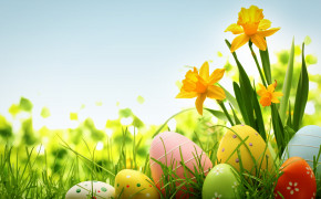Easter Grass HD Wallpaper 52579