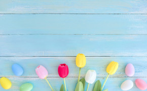 Easter Tulip Flower Background Wallpapers 52665
