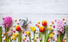Easter Tulip Flower HD Background Wallpaper 52669