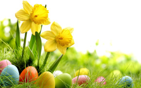 Easter Grass Background HD Wallpapers 52569