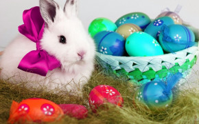Easter Rabbit Background Wallpaper 52629