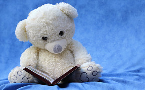 Teddy Bear Stuffed Animal Wallpaper 52943