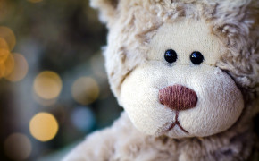 Teddy Bear Stuffed Animal Desktop Wallpaper 52937