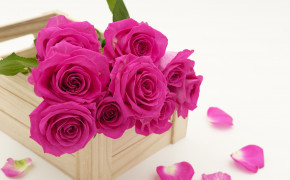 Bouquet Of Pink Roses Wallpaper 50182
