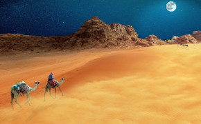 Camel In Desert Wallpaper 53475