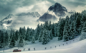 Snow Tree Landscape Wallpaper 55200