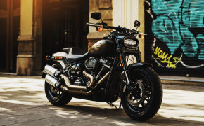 Harley-Davidson Cool Bike Wallpapers 55406