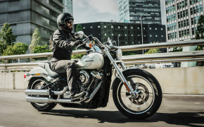 Riding Harley-Davidson Wallpapers 55428