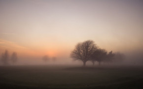 Fog New Wallpapers 05429