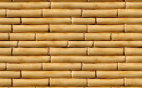Bamboo Wallpaper 2560x1600 56014