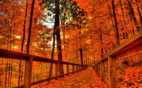 Autumn Season Wallpaper 2560x1705 56001